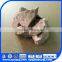china anyang export SiBaCa alloy with short delivery date