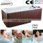 2014 USA Ballboa System Massage Hot Tub CE Certification Available Hot Tub JY8603