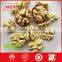 First grade and High quality Walnut Kernels with free sample