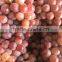 Chinese Globe Fresh Grape For Sale