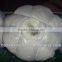 HOT!!!good Quality Merino Wool Top With Shrink-resistant/superwash Treatment 22.5MIC, 80MM, Natural White Color.
