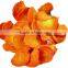 Carrot chips Tempura vegetable snacks VF dried carrot