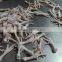 frozen chicken feet peeling machinery