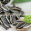 Chinese Hybrid Sunflower Seed for Planting
