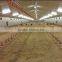 Low cost poultry chicken farm building for Philippines