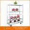 2017 greenhouse plant flower display cart trolley wholesale Garden Metak Shelf