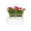 2014 newest office decoration mini smart garden