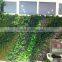 Artificial green wall for gymnasium