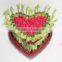 Lucky bamboo ( Dracaena Sanderiana) heart shape
