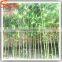 Factory Direct Sale Artificial Bamboo Plant Indoor And Outdoor