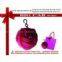 2012 Luxury Polyester Flower Folding Ecological Bag