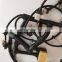 Machinery engine parts  ECM ECU wiring harness 4939039 for ISBe ISDe QSB6.7