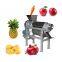 Commercial Fruit Juice Making Machine Industrial Cold Press Juicer Extractor Machine   WT/8613824555378