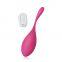 Wholesale Vibration Egg g Spot Vibrator Sex Toys for Female With Remote Control