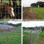 Low Carbon Steel Security Fence Pvc Coated Farm Fence Panels Grassland Fence