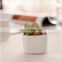 Succulent plant pot white mini simple style square ceramic basin ceramic vase