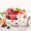 Hot Sale Best DIY Electric Italian Frozen Soft Homemade Commercial Ice Cream Maker