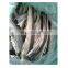 High Quality Fish Skin from Vietnam