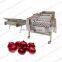 Passion Fruit Grading Machine Mandarin Orange Citrus Fruit Sorting Equipment