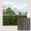 60g Agricultural HDPE Anti Hail Net Screenhouse for Plants Protection Fruit Apple Tree with UV 5 years