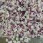pure nature freeze dried red onion dice