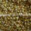 frozen corn