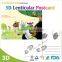 Postcard/invitation paper card printing