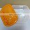 Hot selling Picnic Bento Lunch box/Plastic lunch box/Plastic food container