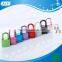AJF 2015 decorative heart padlocks