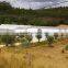 Eco-Friendly Solar Powered Greenhouse for Saving Water Hydroponics
