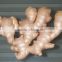 2015 wholesale ginger look for ginger importing countries