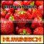 Huminrich Shenyang Soluble Humic Ammonium Ferti Bio Chemical