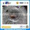 New Product Snow Blower Ball Inflatable Human Balloon China Manufacturer