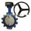 Lug Type Butterfly Valve Din Flanged