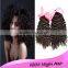 Wholesale 100% Human Hair Extensions Virgin Brazilian Hair Free Sample