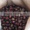 Taian chestnuts china fresh chestnuts for USA