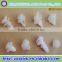 Professional Factory Auto Nylon Fasteners and Clips/ Auto Panel Clips