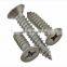 Stainless Steel Self Tapping Screw/self Tapping Screw/tapping Secrw