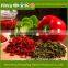 Professional Spices Manufacturer farm green,red bell pepper price for salad, soup
