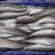 Frozen canadian hake HGT sea fish exporter from china qingdao