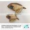 Dried Flatfish fillet/dried souhachi flounder