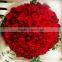 Big bud flower fresh red rose flower export for Valentines Day gifts