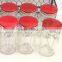 FARMHOUSE Inspired Retro RED Ceramic LIDS Glass Kitchen SPICE JARS