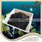 Bulk commercial profitability organic soil kelp fertilizer