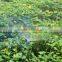 Metal sprinkler lawn sprinkler for irrigation
