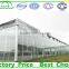 Large Size and Multi Span Agricultural Glass Greenhouse