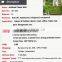 Outdoor creative artificial living moss flower plants wall