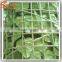 Artificial turf foliage green plastic artificial turf artificial fence