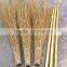 Zhuping Cheap Bamboo Besom With High Quality Bamboo Besom