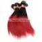 Fashion 1B/BUG color two tone color remy human hair , Brazilian hair